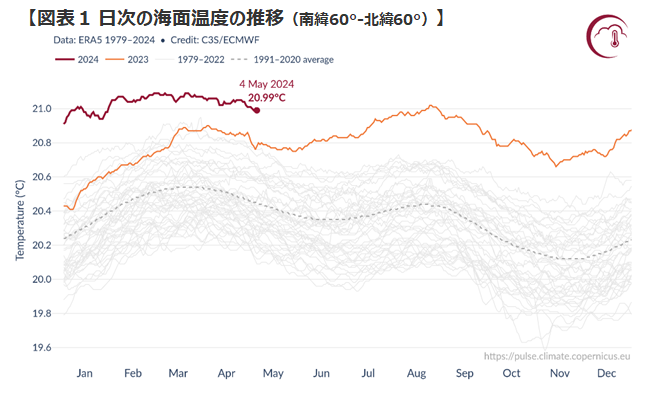 図表1 日次の海面温度の推移