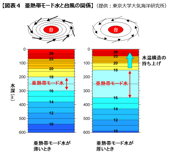 図表4 亜熱帯モード水と台風の関係